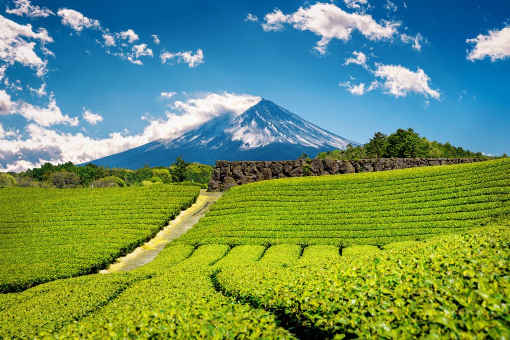 Japan Breeding Visa