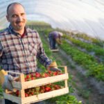 Seasonal Jobs in Europe for Non-EU Citizens – Apply for Summer 2025